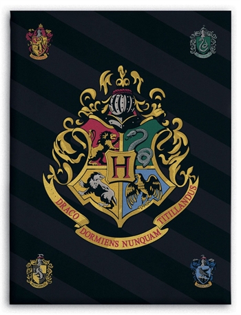 Kinderdecke - Harry Potter - 100x140 cm - weiche und kuschelige Fleecedecke - Borg living