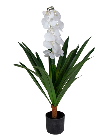 Künstliche Orchidee - 80 cm - ein verzweigter Stängel weiße Blüten - künstliche Blume im schwarzen Topf