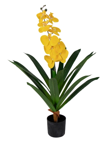 Künstliche Orchidee - 80 cm - Einzweigig gelbe Blüten - Künstliche Blume im schwarzen Topf