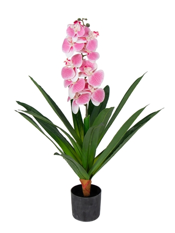 Künstliche Orchidee - 80 cm - Einzweigig rosa Blüten - Künstliche Blume im schwarzen Topf