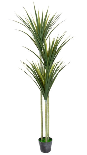 Künstliche Palme mit drei Stämmen, 160 cm Höhe - Dracaena Marginata