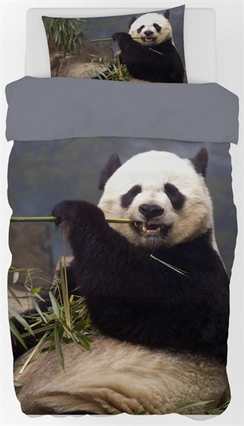 Panda Bettwäsche - 150x210 cm - Großer und süßer Pandabär - 100 % Baumwolle