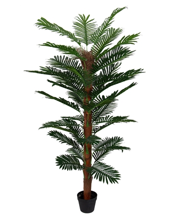 Tropische Palme - 180 cm hoch - Künstliche Palme mit Moosstab im schwarzen Topf -