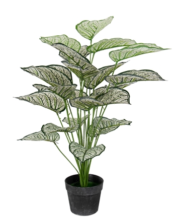 Künstliche Pflanze 80 cm - Wunderschöne Calathea mit weißen und grünen Blättern